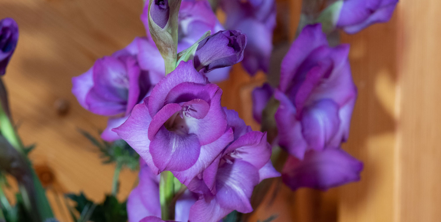 Körperorientierte Psychotherapie